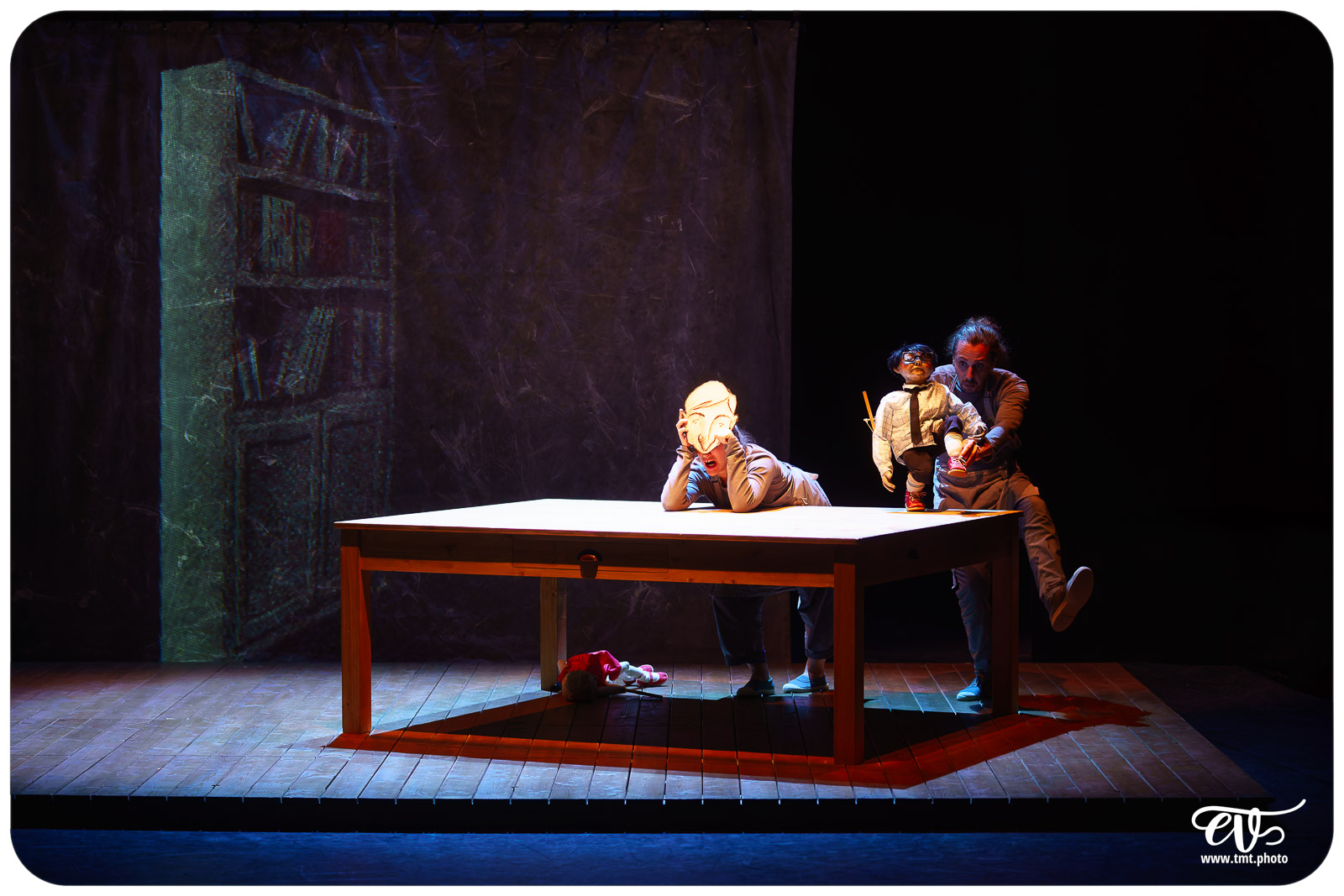 LA TRISTESSE DE L'ELEPHANT (CIE DES RIVES DE L'ILL)